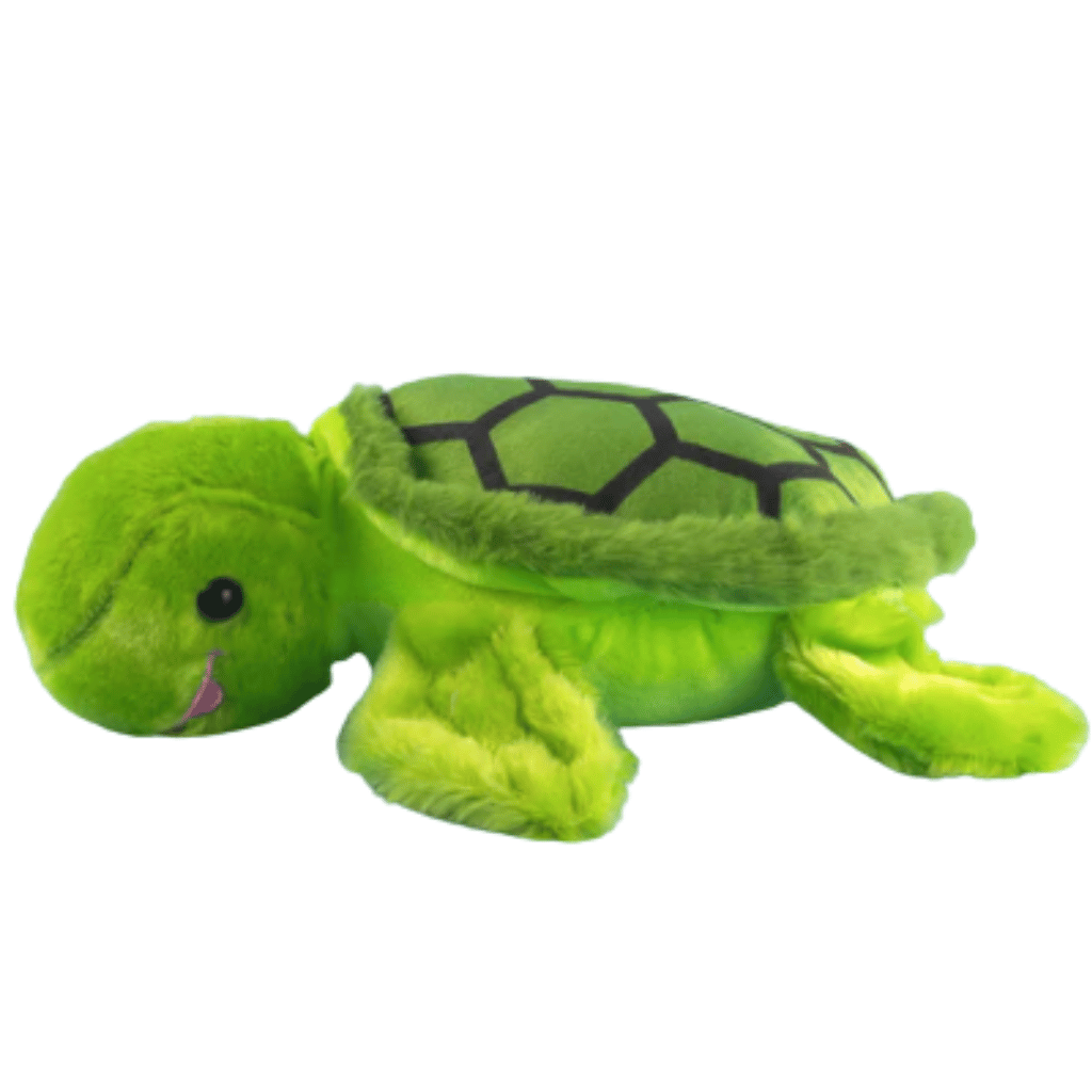 Tortuga ocean