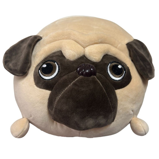 Perro Chato pug