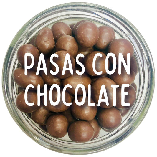 Jar 12 oz pasas con chocolate