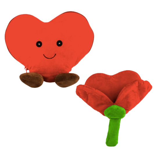 Corazón Florencia